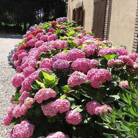 פונטה סן ג'ובאני Montecorneo Country House מראה חיצוני תמונה
