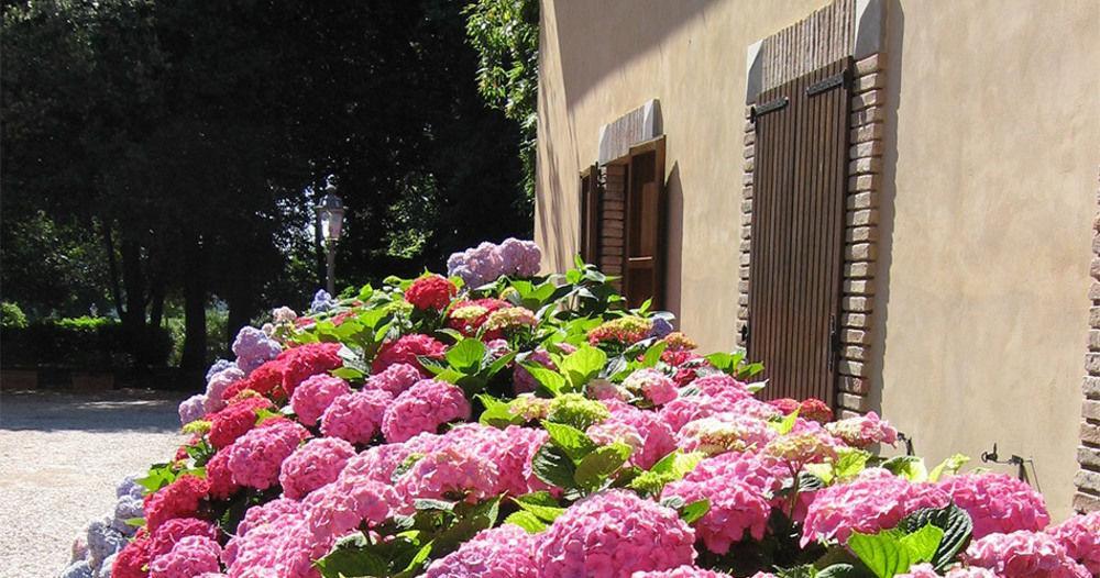 פונטה סן ג'ובאני Montecorneo Country House מראה חיצוני תמונה